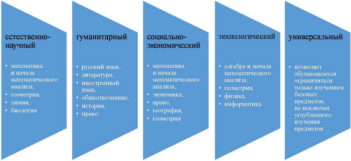 Профили обучения. Какие будут, и какие предметы планируется изучать углубленно. Фото предоставлено Управлением образования