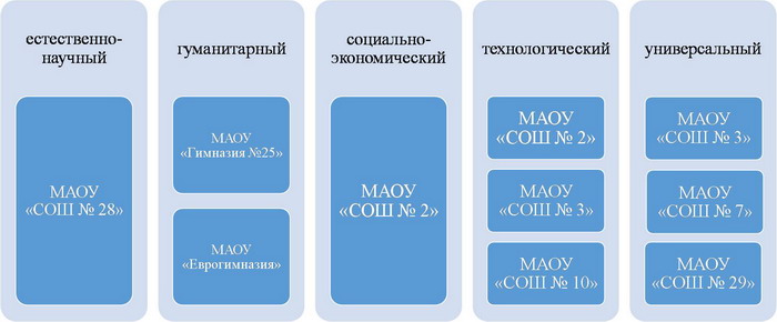 Распределение профилей обучения по школам. По сути, по каждому профилю каждая школа будет набирать один 10 класс из 25 человек. Фото предоставлено Управлением образования